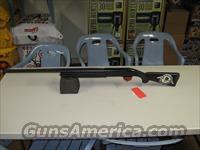 Winchester Super X2  Winchester Shotguns - Modern > Autoloaders > Hunting
