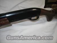 Remington 1100 Sporting Clays in 20 Gauge  Remington Shotguns  > Autoloaders > Trap/Skeet