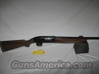 Winchester Model 50  Winchester Shotguns - Modern > Autoloaders > Hunting