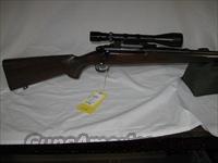 Pre-64 Winchester Model  70  Winchester Rifles - Modern Bolt/Auto/Single > Model 70 > Pre-64