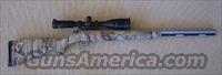 Thompson Center Omega, Stainless Steel/Hardwoods camo,  Tasco 2.5-10 X42 scope  Thompson Center Muzzleloaders > Inline Style
