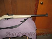 Custom Ruger 10/22 Liberty Training Rifle  Ruger Rifles > 10-22