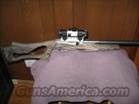 Custom Ruger 10/22 Ruger Rimfire Challenge rifle  Ruger Rifles > 10-22