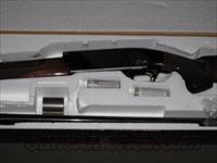 Browning Gold SL Micro  Browning Shotguns > Autoloaders > Trap/Skeet