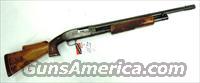 Winchester Model 12 --  20 ga   Winchester Shotguns - Modern > Pump Action > Hunting