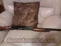 Ithaca Sweet 16   Ithaca Shotguns > Pump