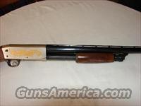 Ithaca NWTF Model 37  Ithaca Shotguns > Pump