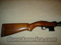 Universal Vulcan 44 mag. pump rifle  TU Misc Rifles