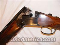 Beretta DT10  Beretta Shotguns > O/U > Trap/Skeet