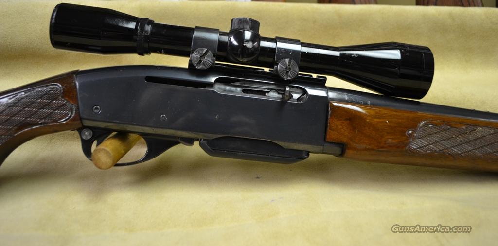 Remington 742 Woodsmaster with Bushnell scope for sale