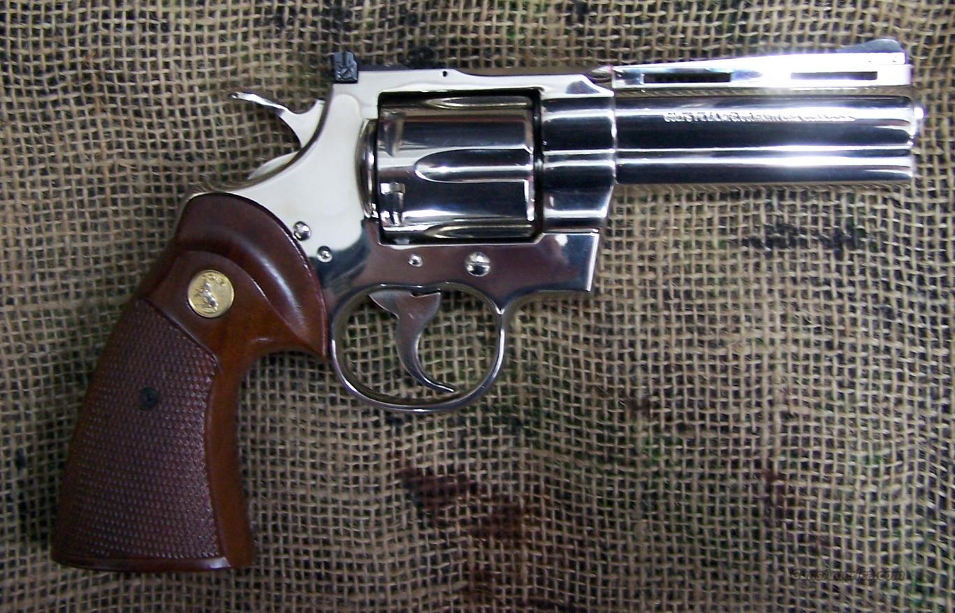 Colt Python, 4 inch barrel, Nickel for sale at Gunsamerica.com: 900286194