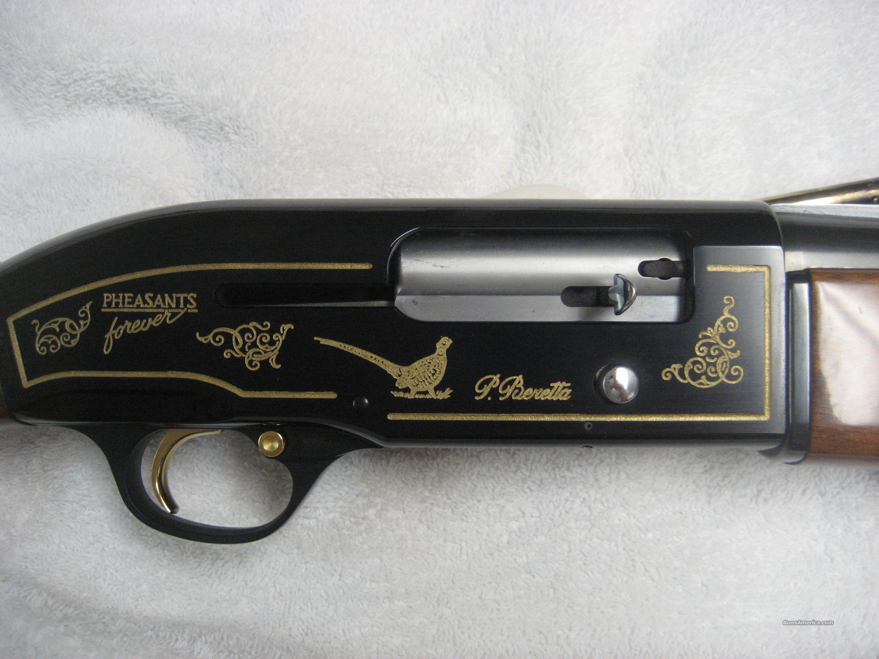 BERETTA 303 12 GAUGE PHEASANTS FORE... for sale at