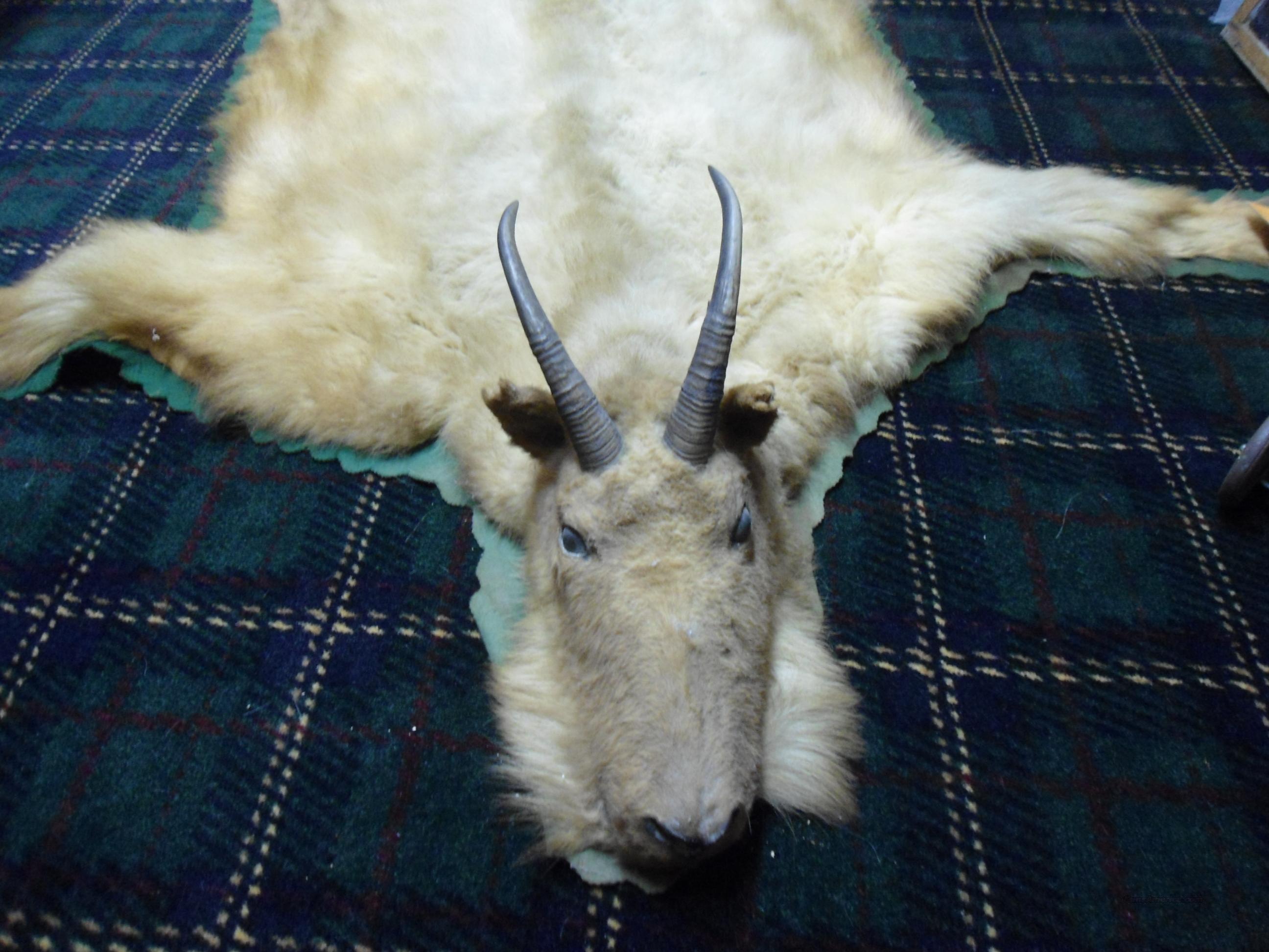 VINTAGE MOUNTAIN GOAT RUG for sale at 996385044