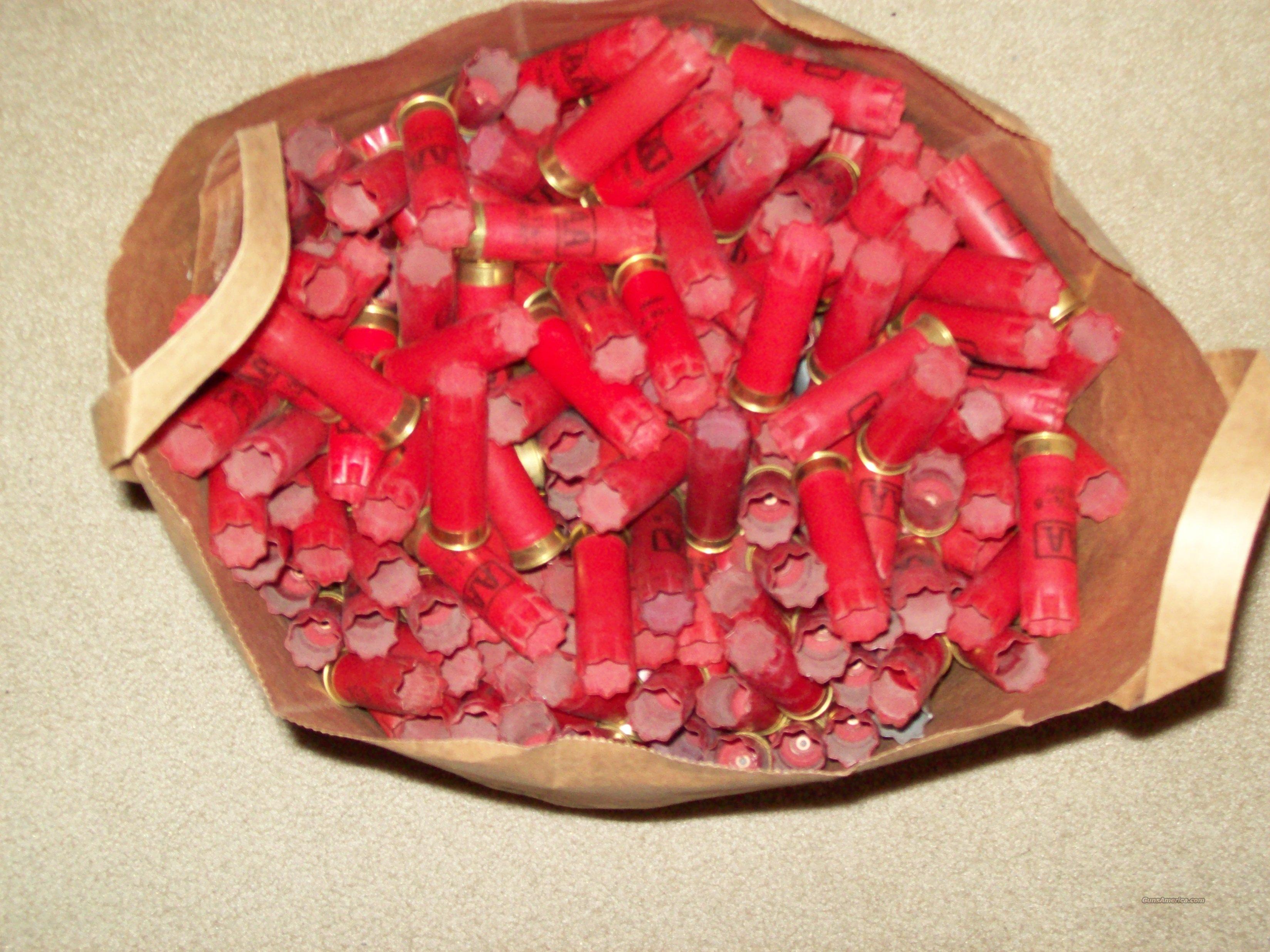 Winchester 12ga once fired hulls for sale at 936561468