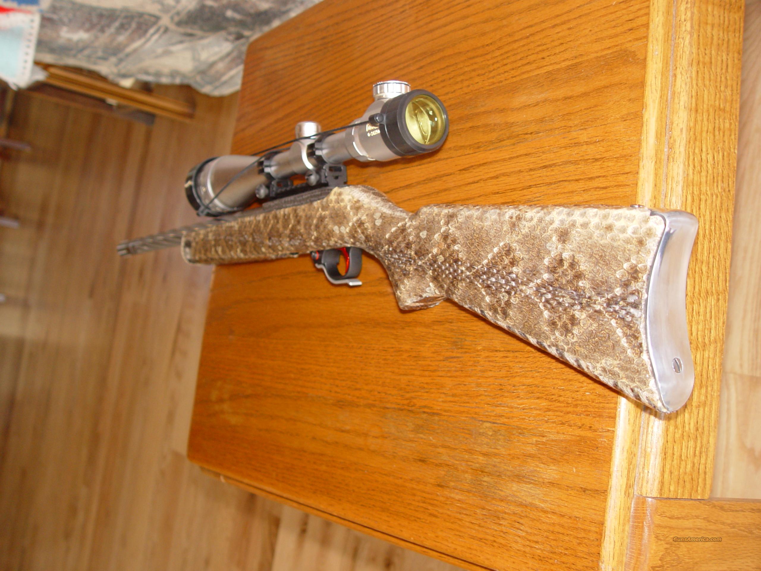 Ruger 10/22 Custom Rattel Snake Sk... for sale at 951584471