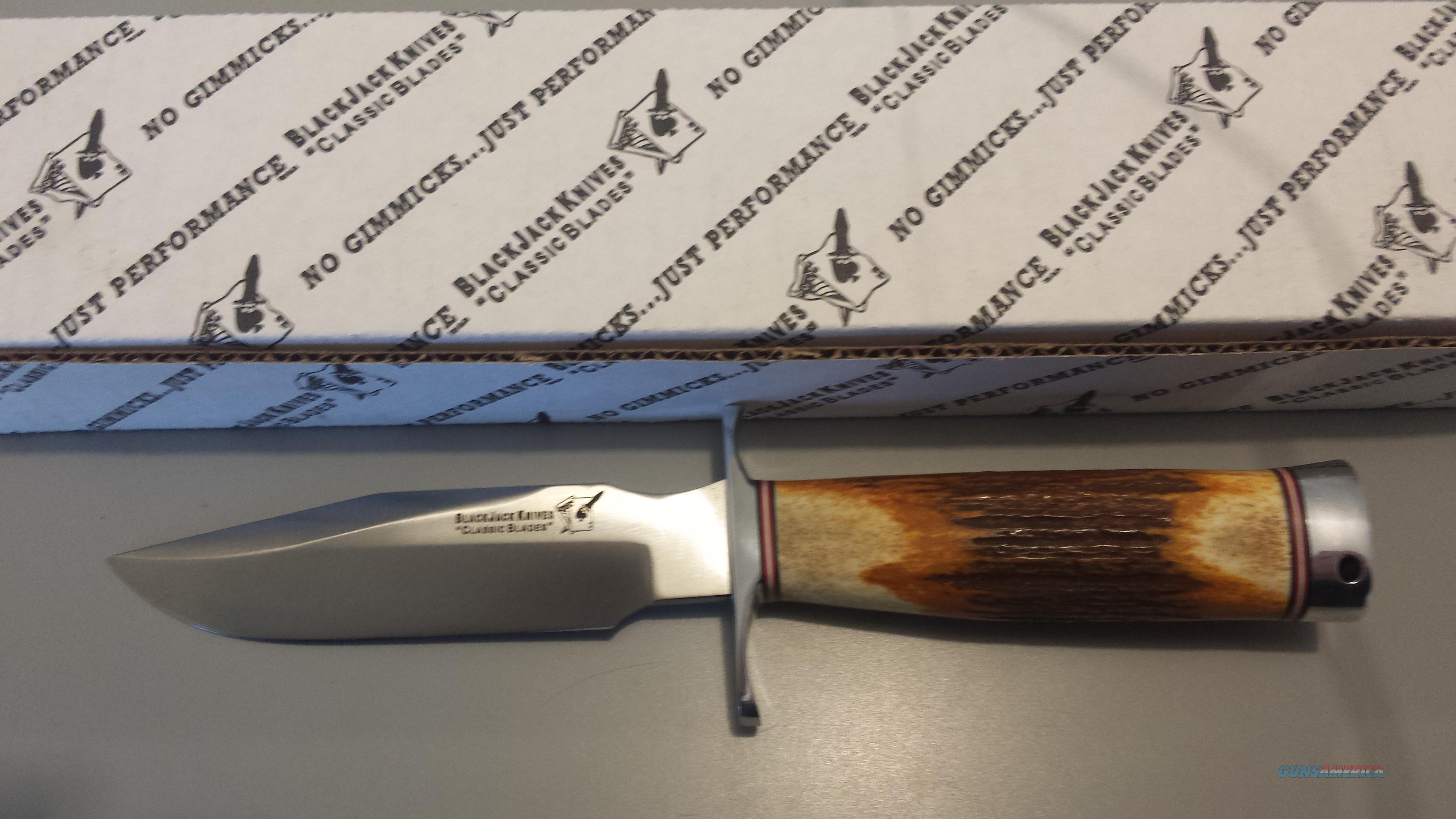 Blackjack Model 5 Stag for sale at 961827344