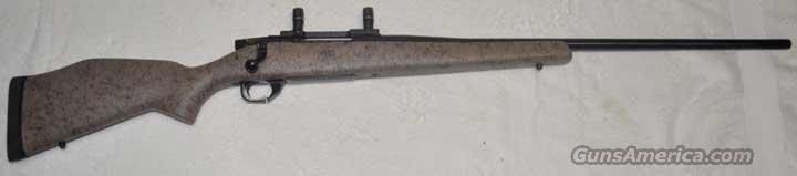 Vanguard