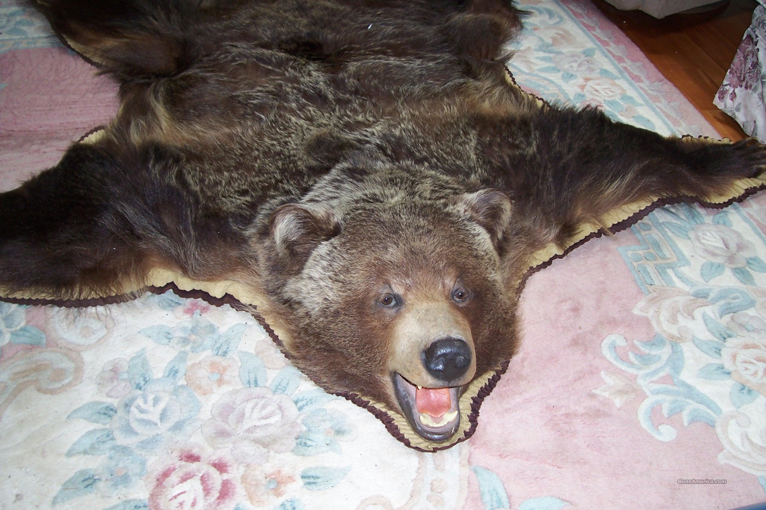 Grizzly Bear Rug for sale at 998314470