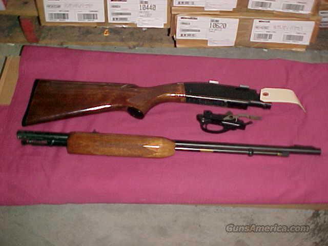 Stock replacement 572 remington A Thousand