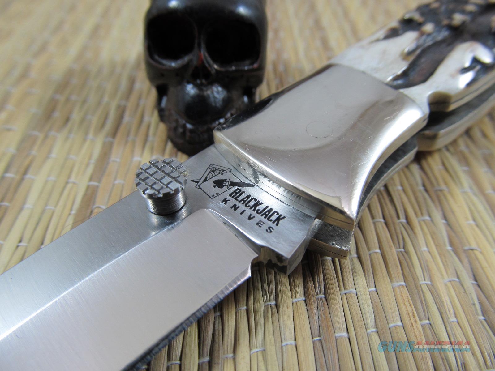 BlackJack Knives Vintage Stag Mamb... for sale at