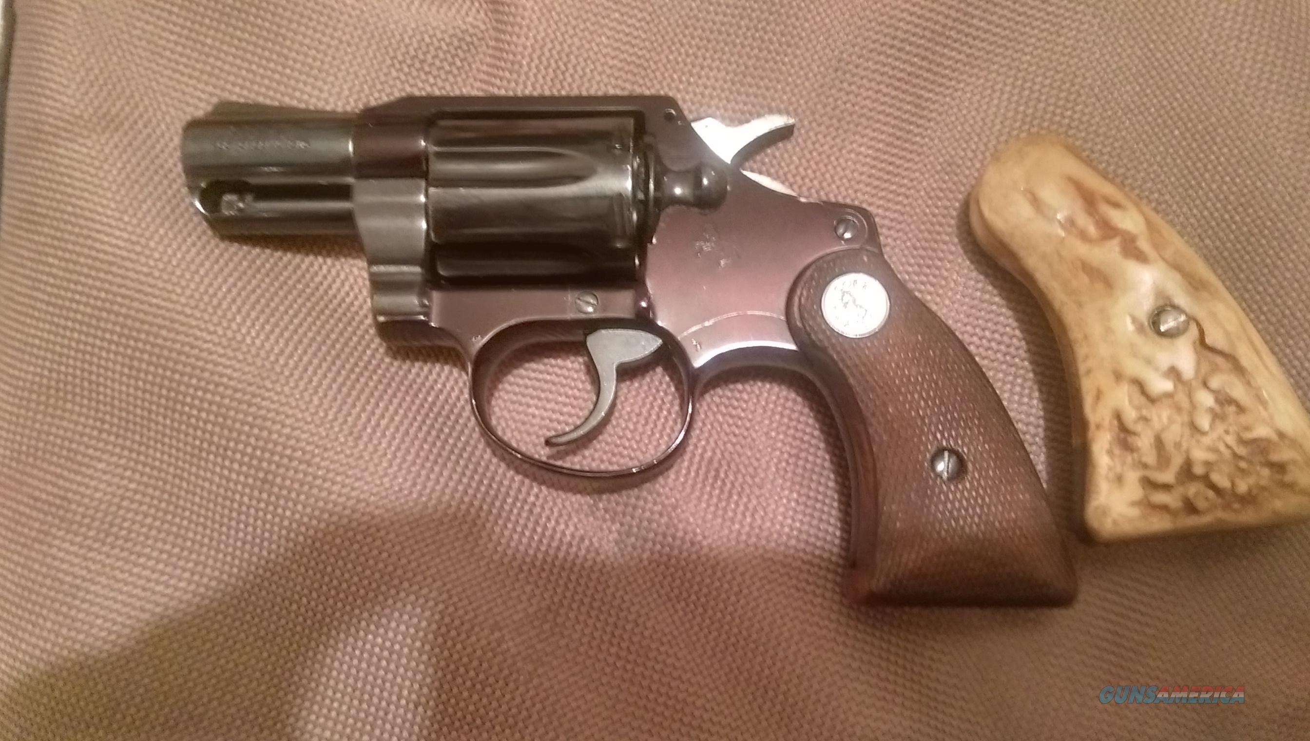 Colt Agent 38 Lightweight 2nd Issue Dates 1975 For Sale
