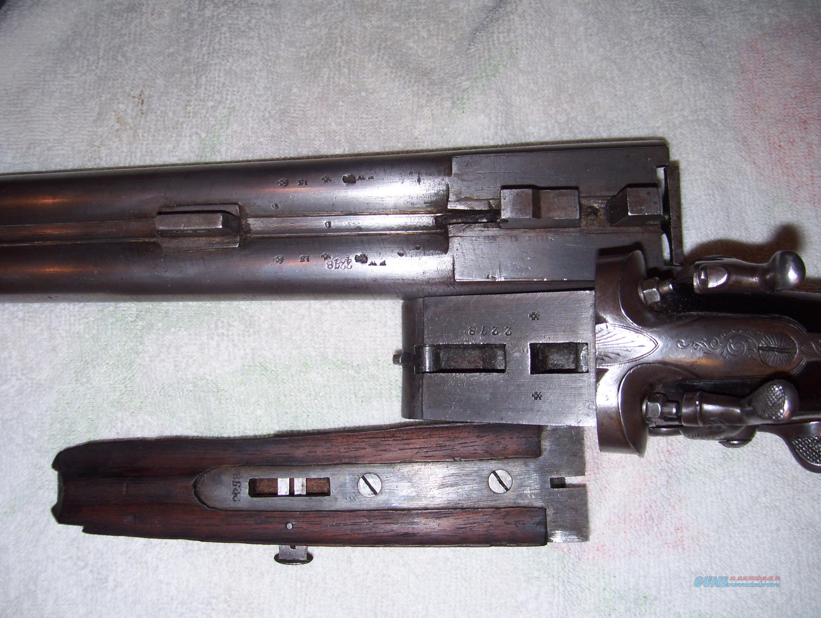 Saxton SxS shotgun Black Powder for sale at 982621804