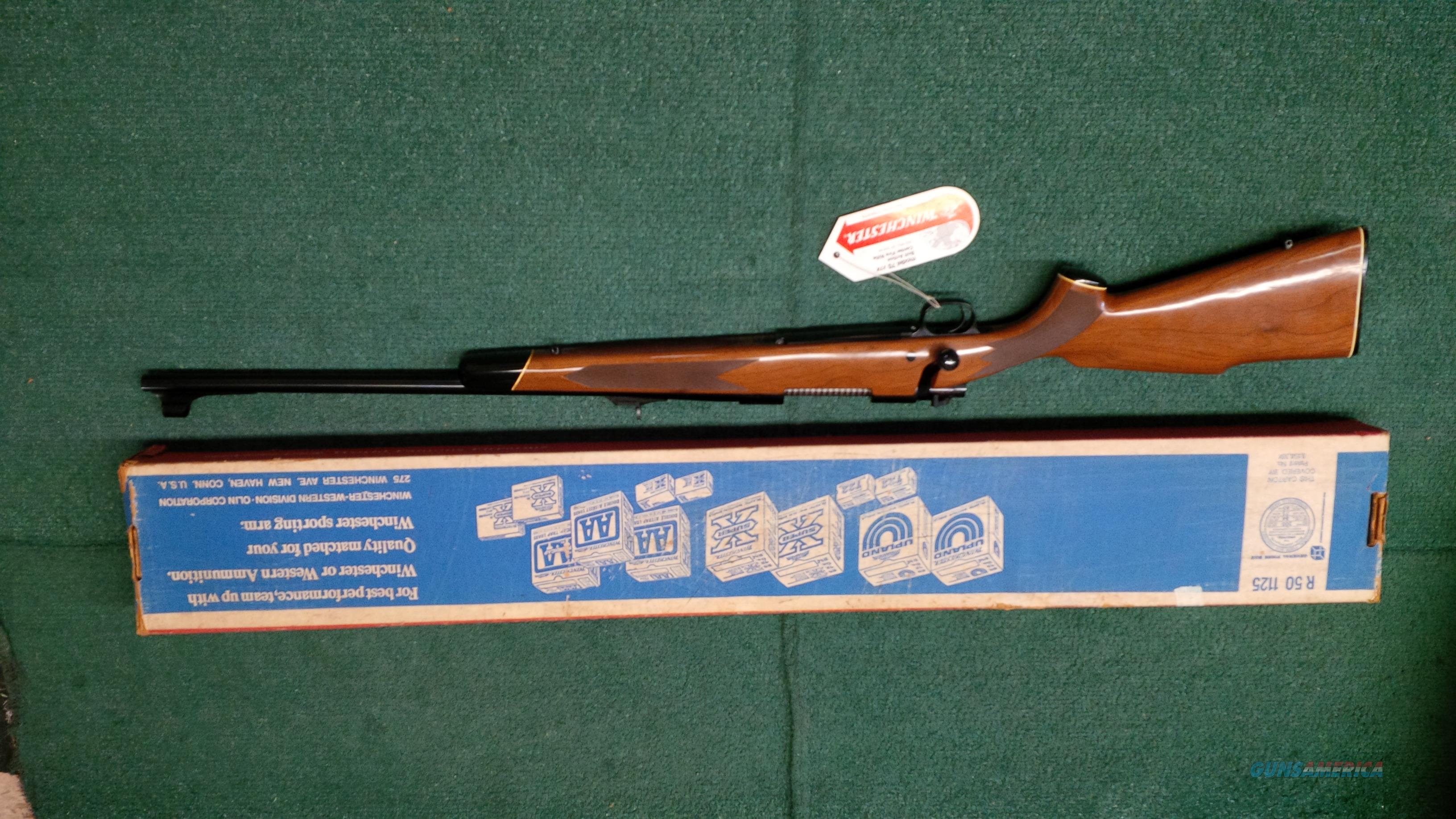 Winchester Model 70 XTR .243 Win. N... for sale at 937458375