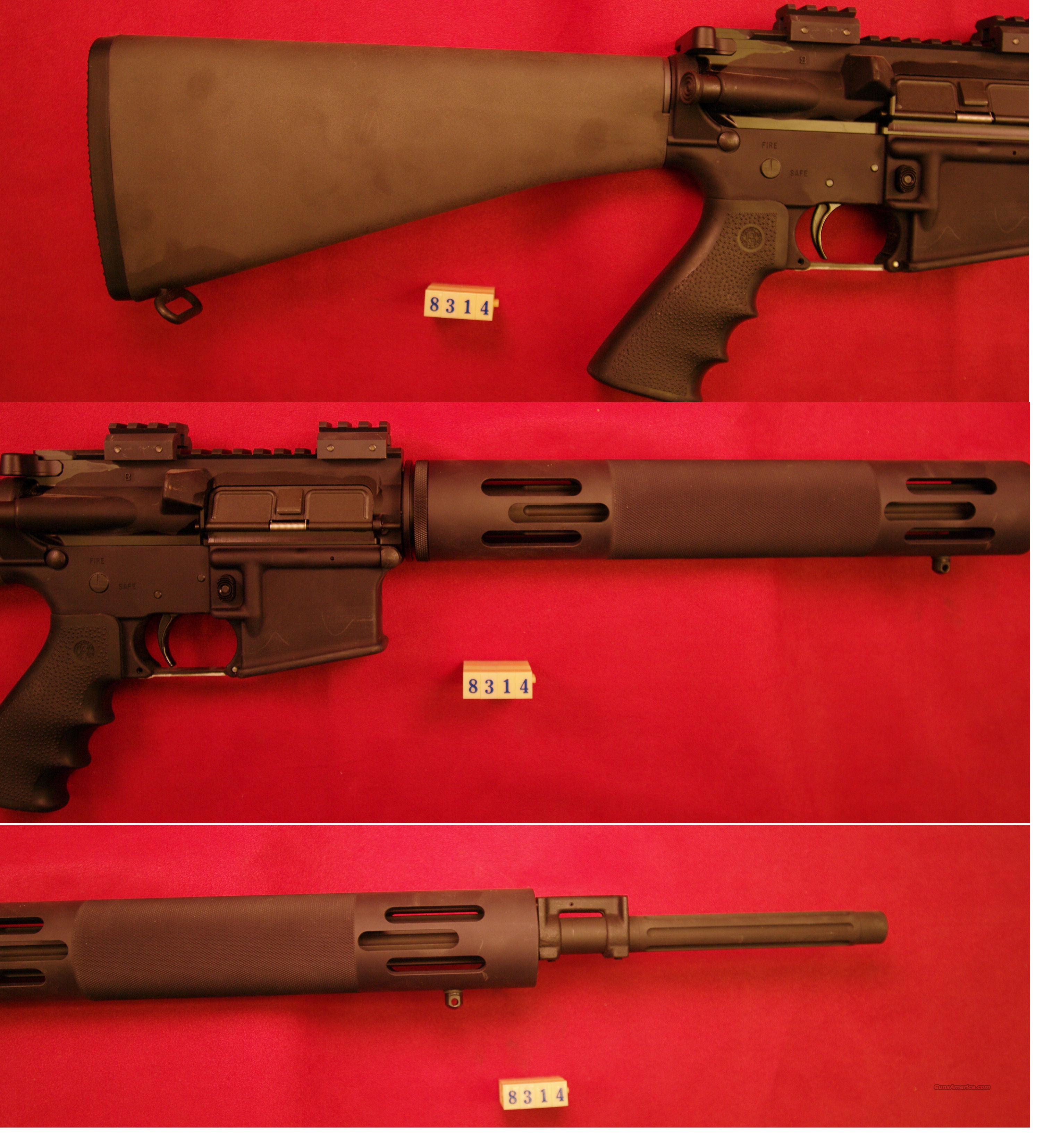 BUSHMASTER PREDATOR 223 CAL for sale at 995480624