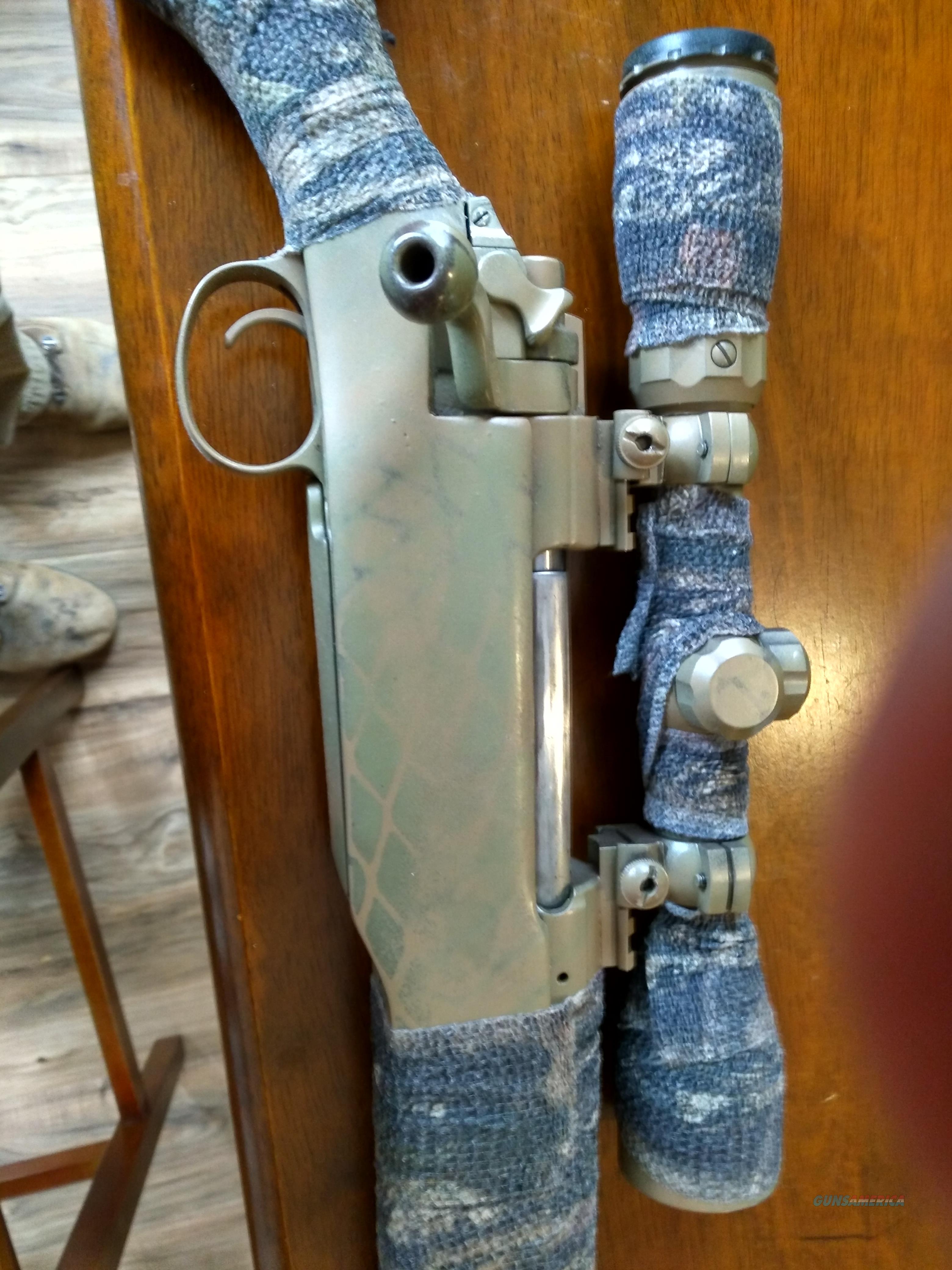 50 wsm/hushpuppy for sale at 910962275