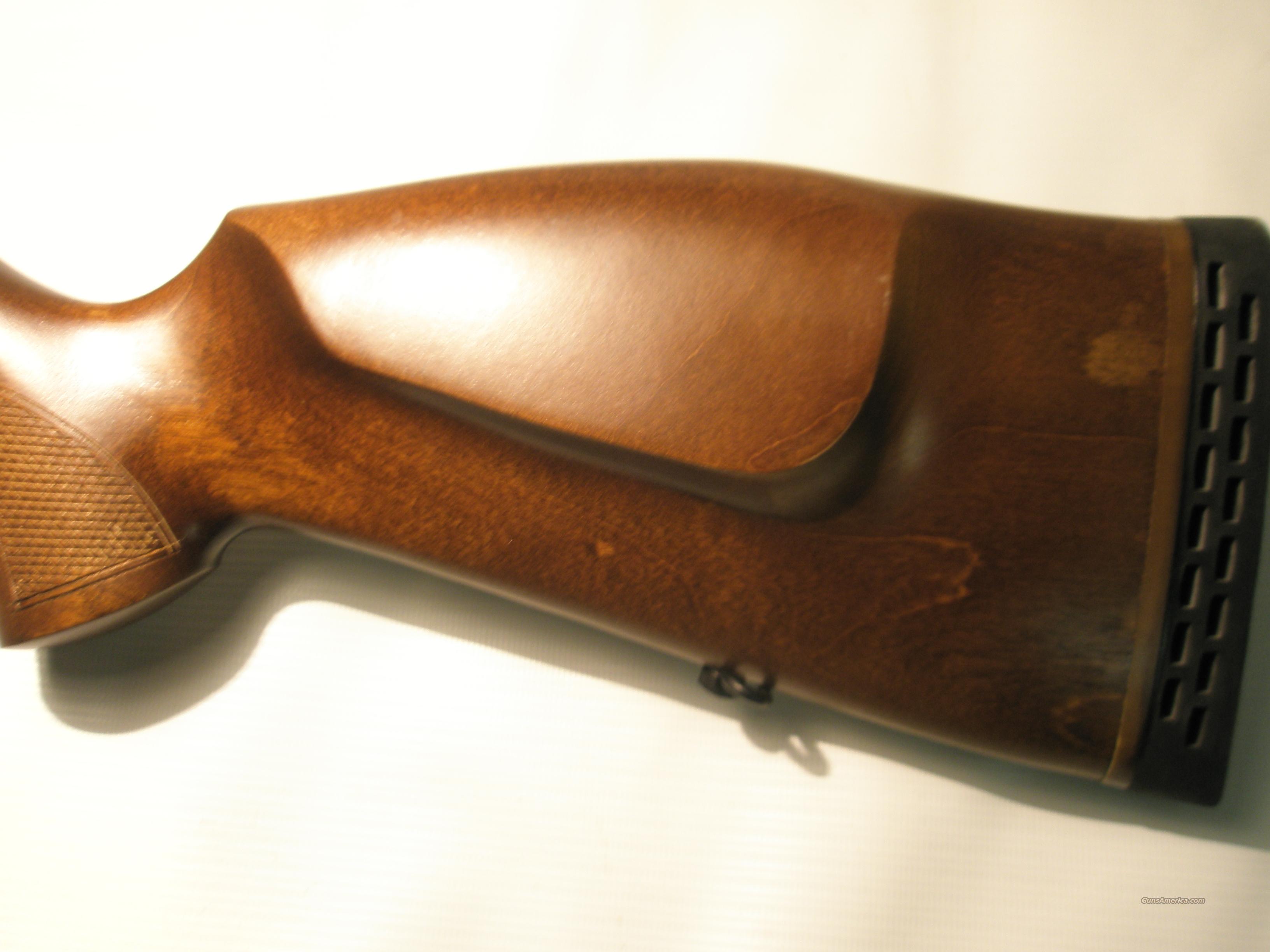 Saiga IZ238 .223 Wood Furniture for sale at 963982124