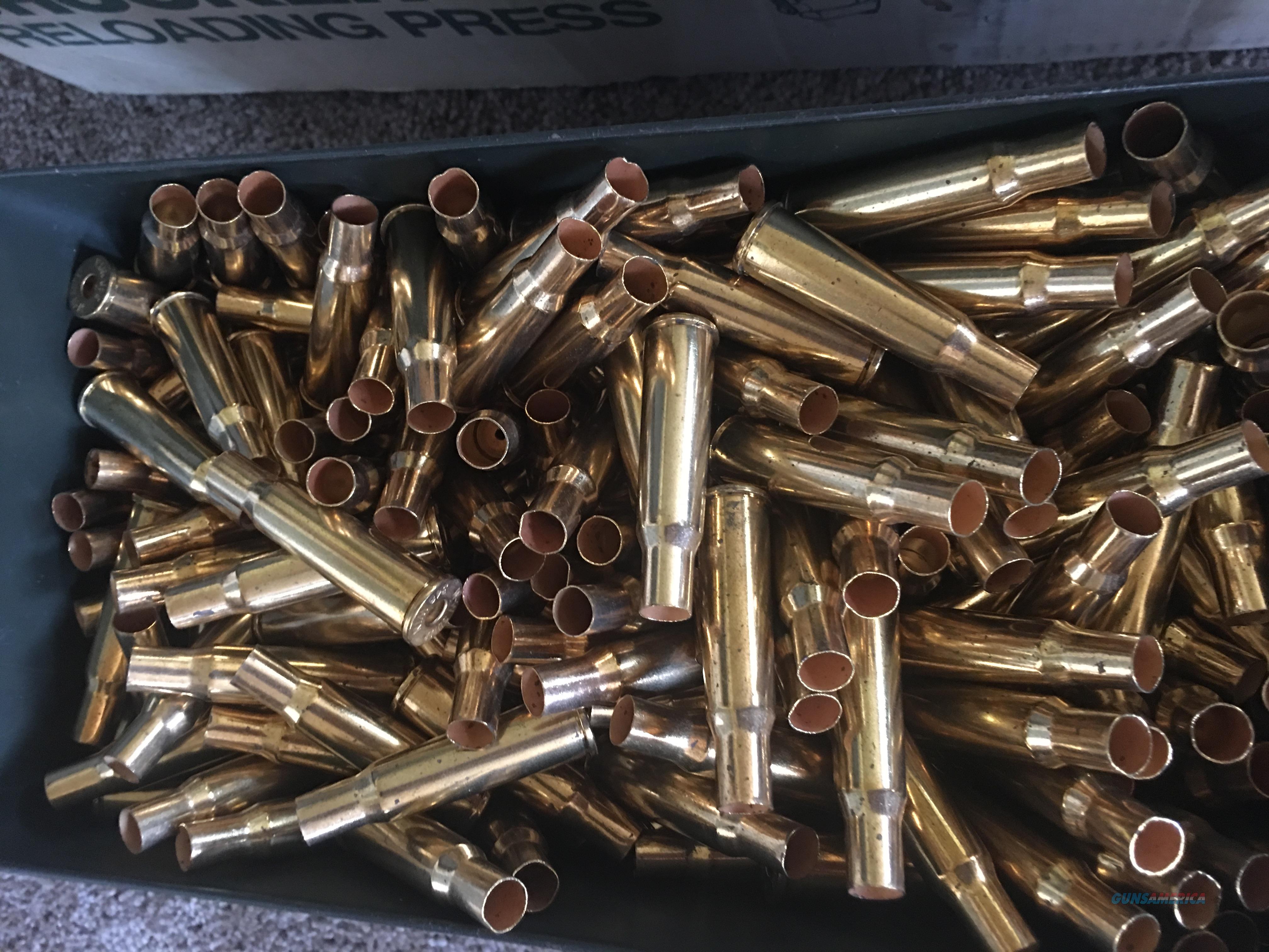 348 winchester brass for sale at 987244640
