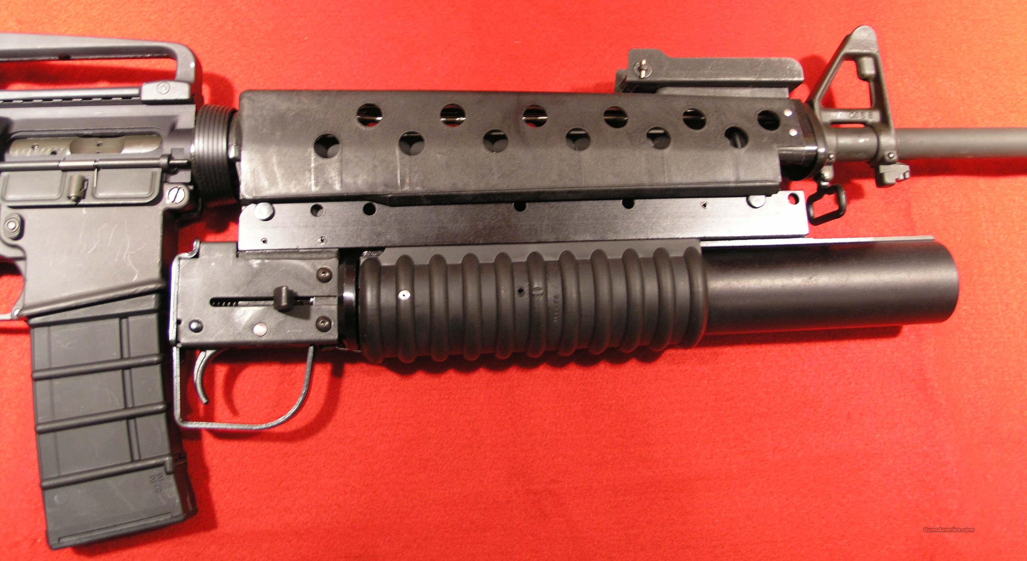 Colt AR15 with Grenade Launcher for sale at 943264446