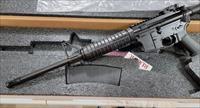 Ruger AR 5 56 1x30rd