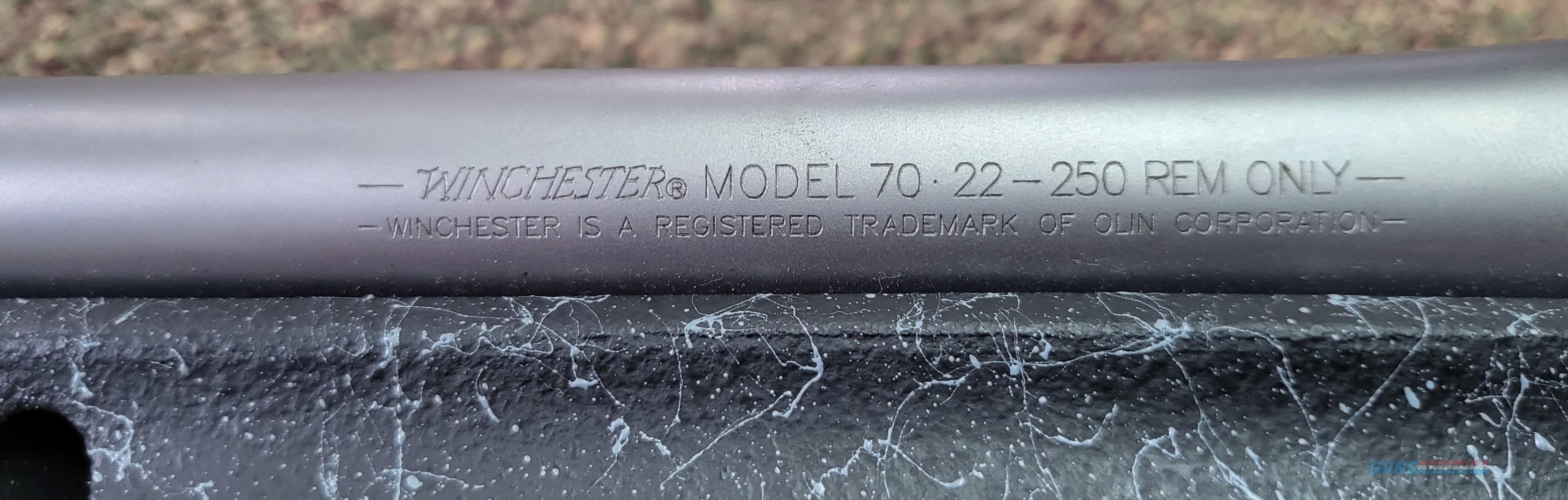 Winchester Model 70 Coyote Light 22... for sale at