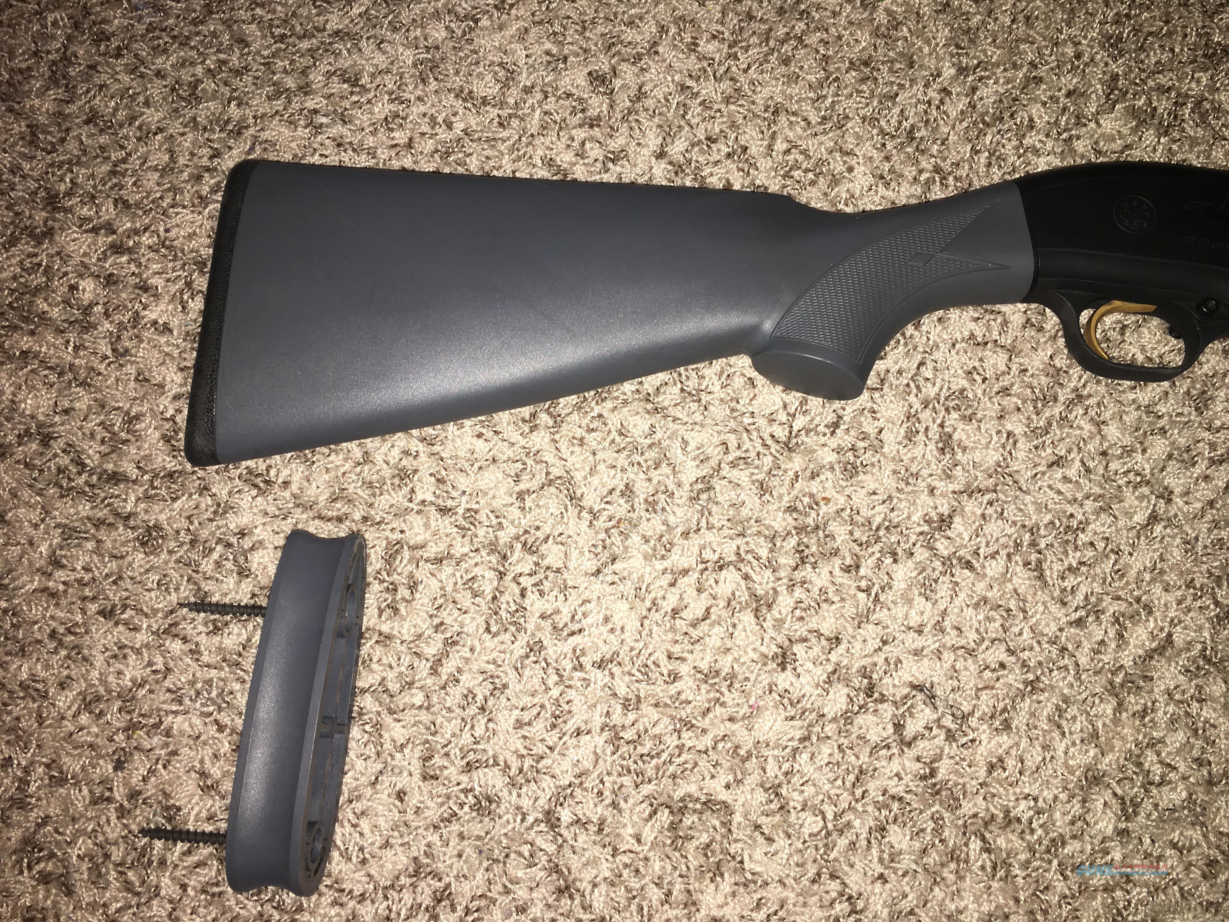Beretta 3901 Youth Shotgun for sale at 969100844