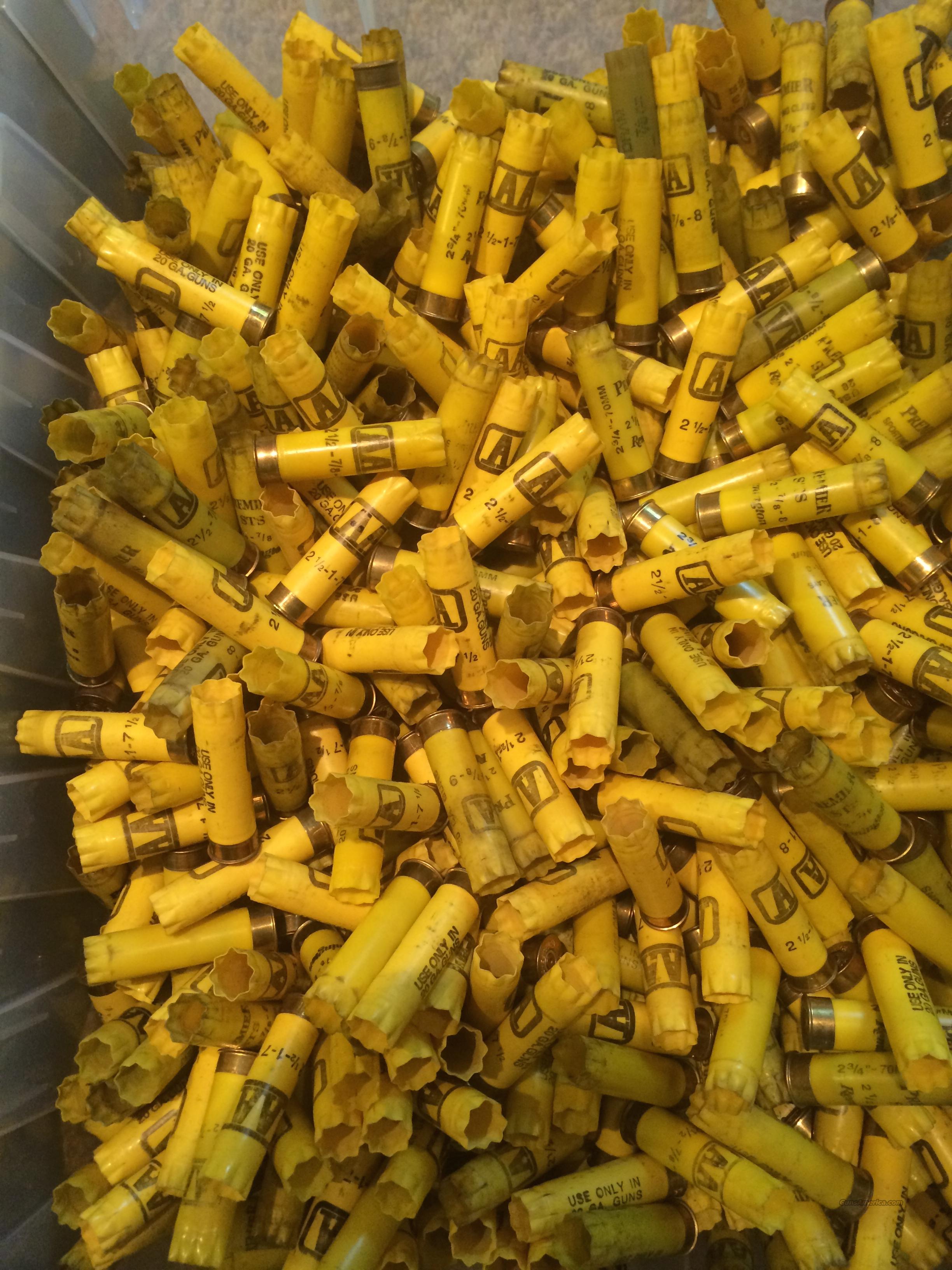 700 Winchester 20ga Hulls for sale at 991066241