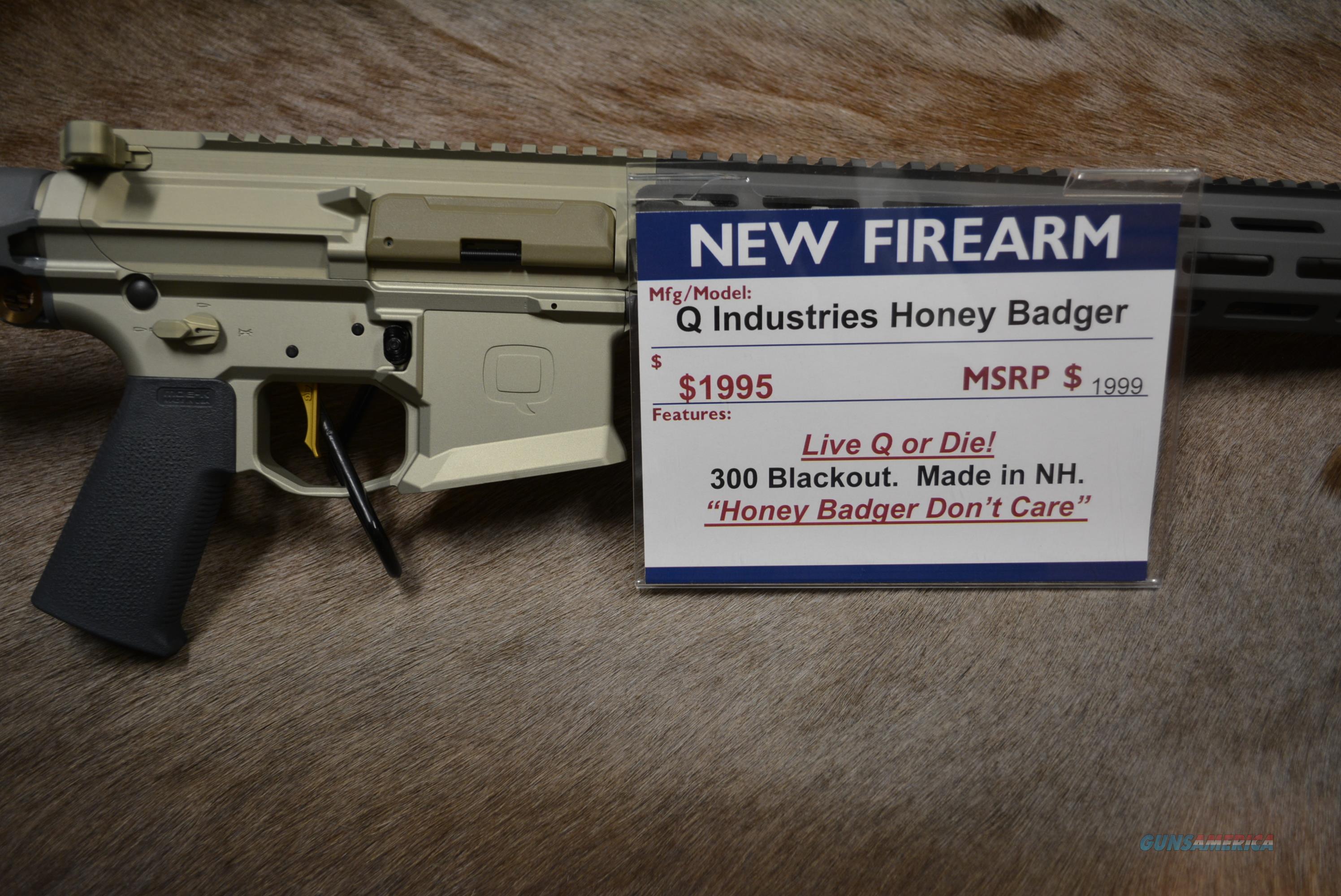 Q Industries Honey Badger 300 Black... for sale at