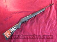 RUGER 10/22 TAKE DOWN BLUED SYNTHETIC STOCK NEW (11112)  