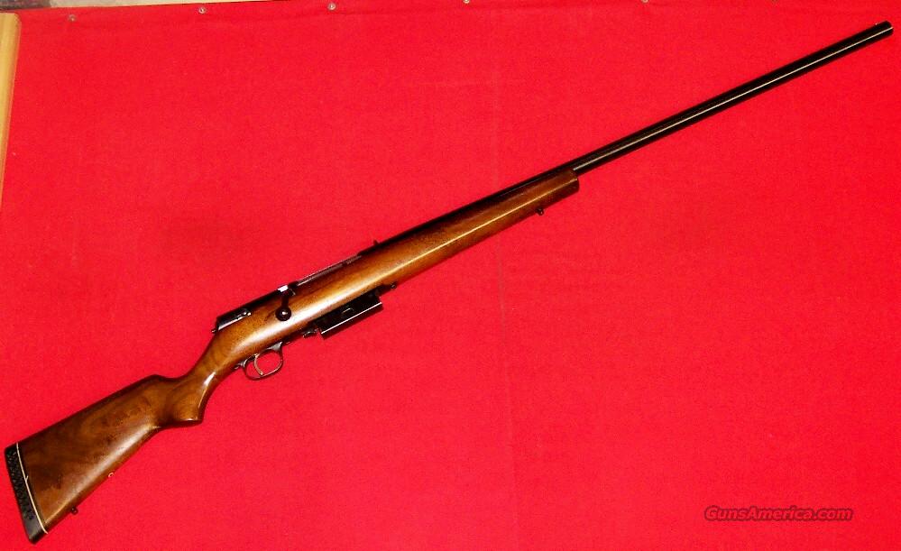 How to keep Canadian Geese away from property? - AR15.COM