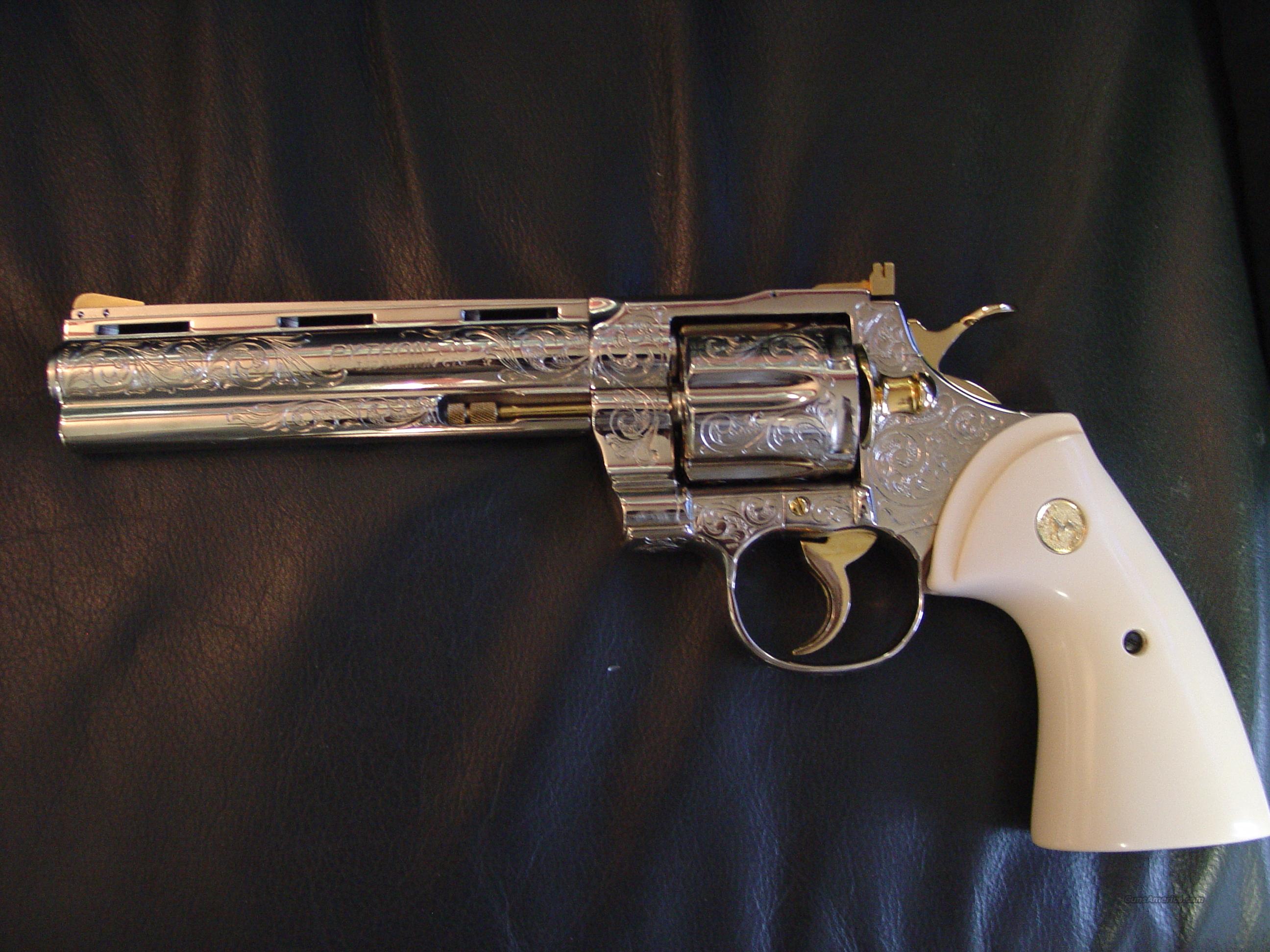 Colt Python 6