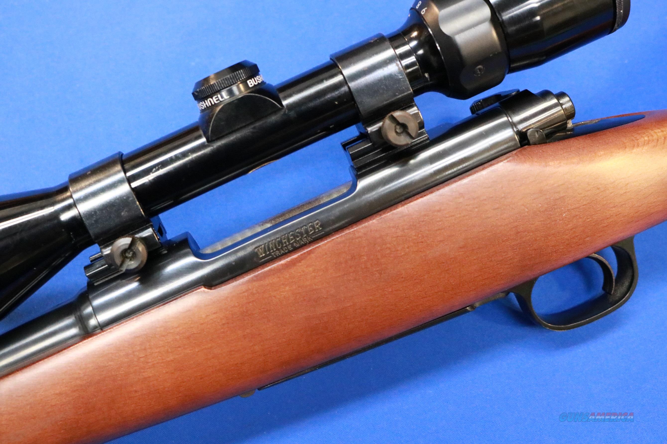 WINCHESTER MODEL 70 RANGER .243 WIN... for sale at
