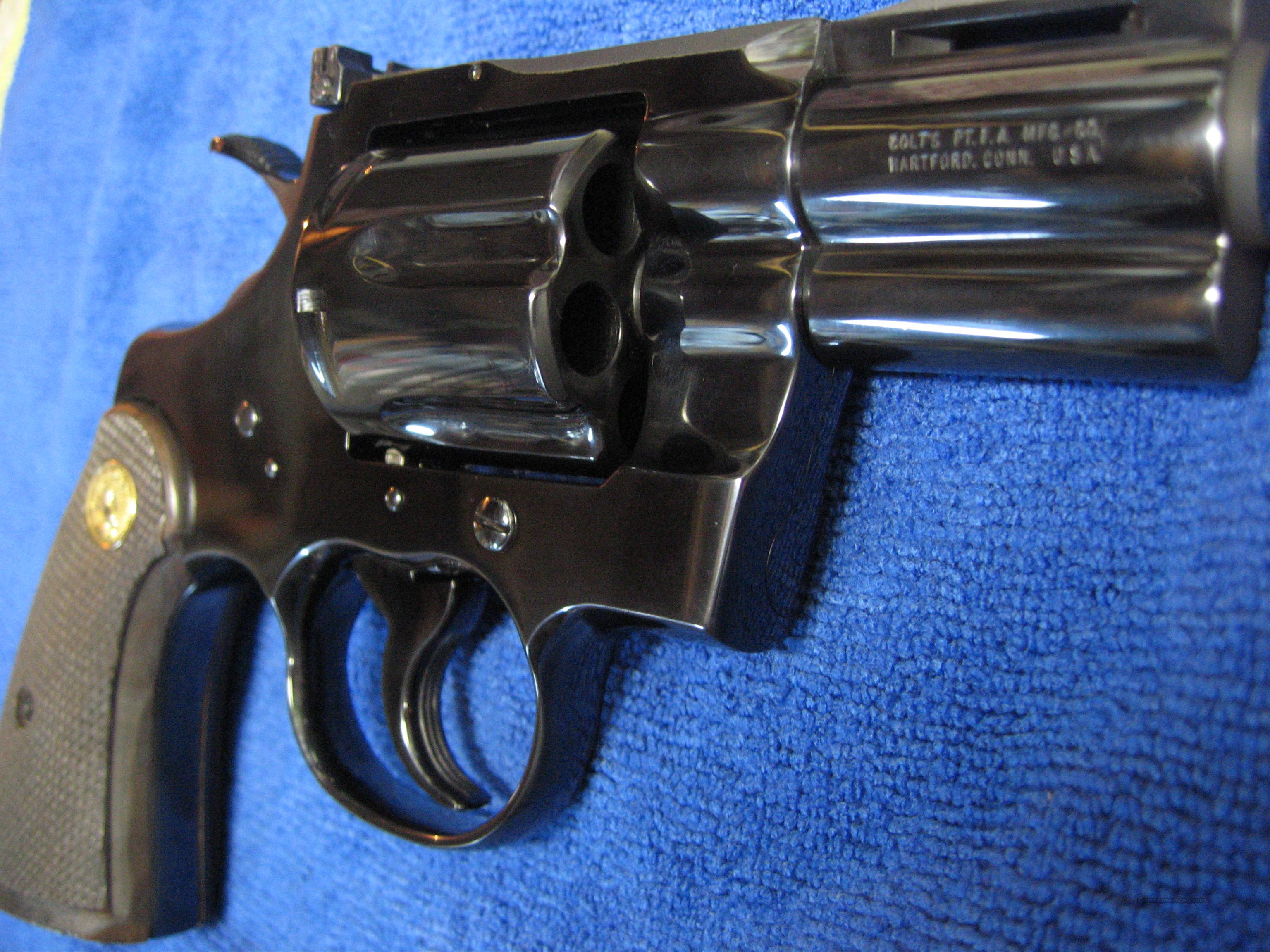 COLT PYTHON 2 1/2