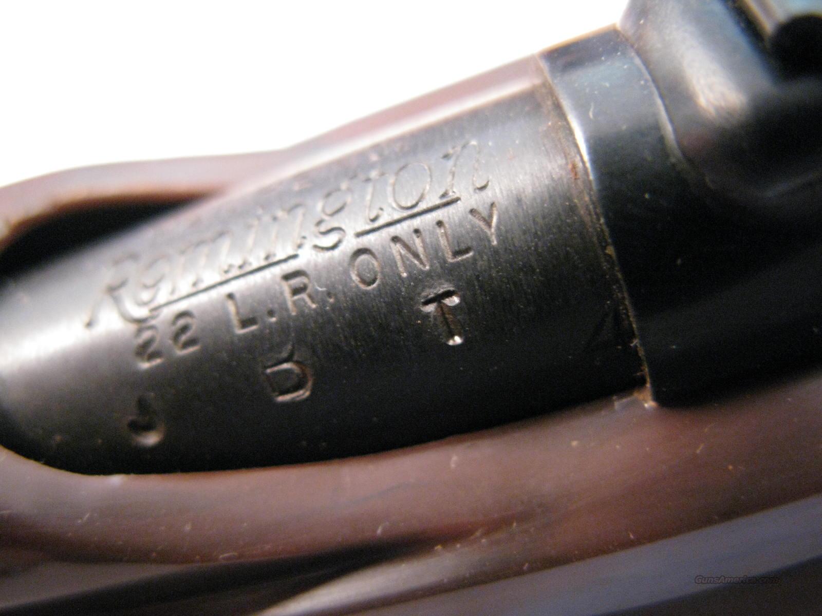 Nylon 66 .22 LR Only Mohawk Brown New In Box for sale