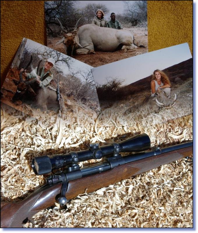 Busting the Magnum Myth! - Choosing YOUR Ideal Hunting Cartridge Load images to see them