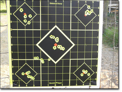 These were typical groups for both guns at 35 yards. There are two groups in the center diamond