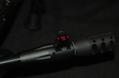 This shows one of the fiber optic sights for your mini-14.