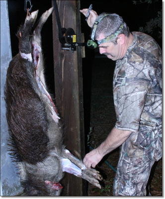 Cast of wild hogs image