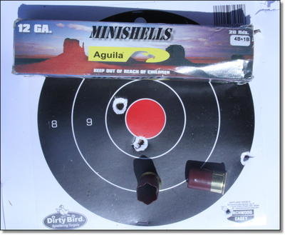 Kel-Tec KSG 15 Round Shotgun - Range Report Kel-Tec KSG 15 Round Shotgun - Range Report