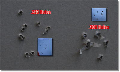 3D Training Targets From ZMB Industries