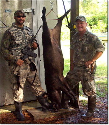 DRT Frangible .223 Ammo vs. Charging Wild Boar DRT Frangible .223 Ammo vs. Charging Wild Boar